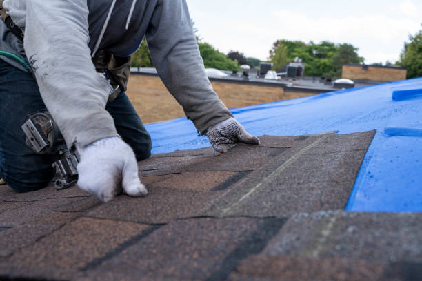 Best Roof Restoration Services  in South Brooksville, FL