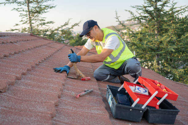 Best Metal Roofing Contractor  in South Brooksville, FL