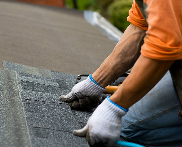 Best Roof Leak Repair  in South Brooksville, FL